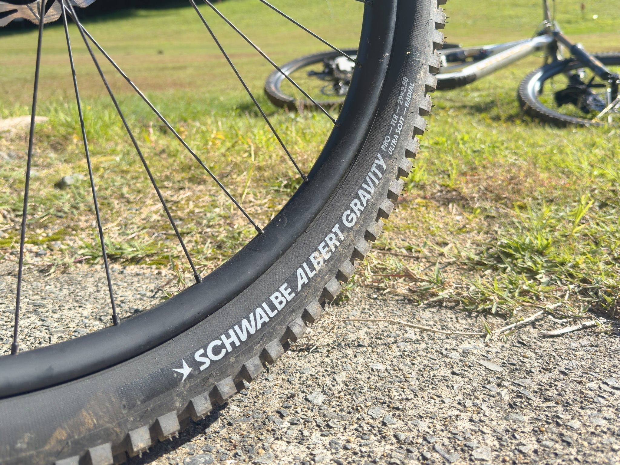 SCHWALBE  29x2.50 シュワルベ　アルバート　ラジアル Schwalbe ALBERT シュワルベ アルバート MTBタイヤ レビュー – Grumpy