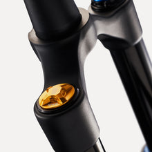 Load image into Gallery viewer, OHLINS RXF34 m.2 Suspension Fork Öhlins