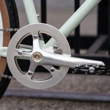 Load image into Gallery viewer, BLUE LUG OX chainring gua