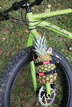 画像をギャラリービューアに読み込む, Salsa Cycles / ANYTHING CAGE