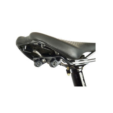 Load image into Gallery viewer, Revelate Designs Spinelock Saddle Bag 10L Revelate Designs Saddle Bag Bikepacking Seatpost Mount Mountain Bike Friendly