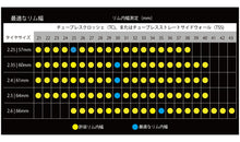 画像をギャラリービューアに読み込む, GoodYear Newton MTR Downh