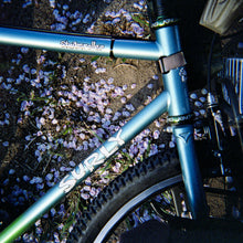 画像をギャラリービューアに読み込む, Lomography Diana F+ Camer