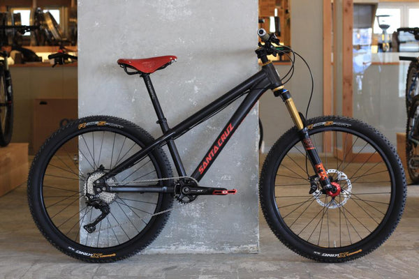 Santa Cruz Jackal
