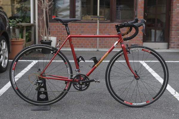Panasonic FCXC16