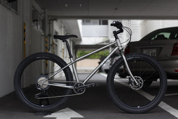 Surly Low side