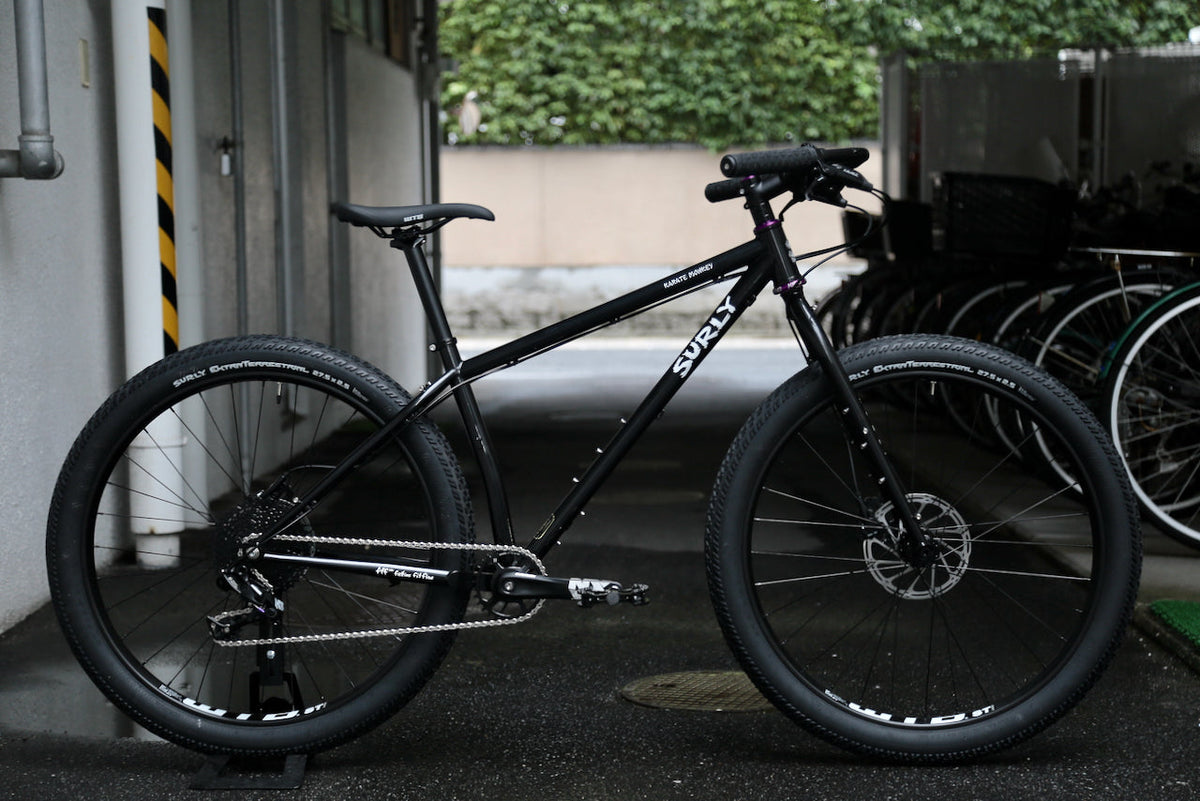 Surly Karatemonkey