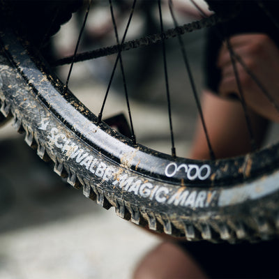 Schwalbe Magic Mary Radial（マジックマリー ラジアル）27.5/29×2.5