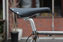 Load image into Gallery viewer, Starfuckers / steelera
