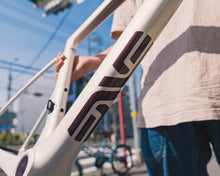 Load image into Gallery viewer, ENVE MELEE Frameset (SLIPSTREAM PEARL) Enve Road Bike

