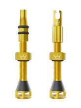 Load image into Gallery viewer, PEATY'S Holeshot Fast Flow Tubeless Valves
