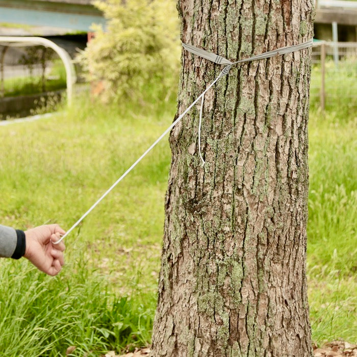 tree straps ツリーストラップ Hummingbird Hammocks ハミングバード