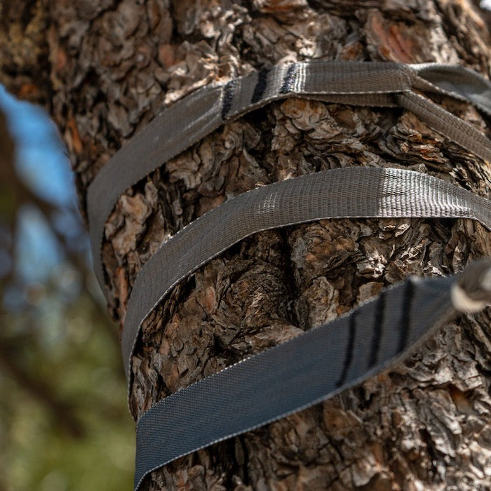 tree straps ツリーストラップ Hummingbird Hammocks ハミングバード